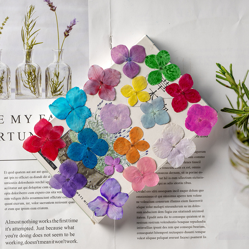 60 stuks Anna Hortensia Kleura - Dried Flower Bookmark recensie en prijs