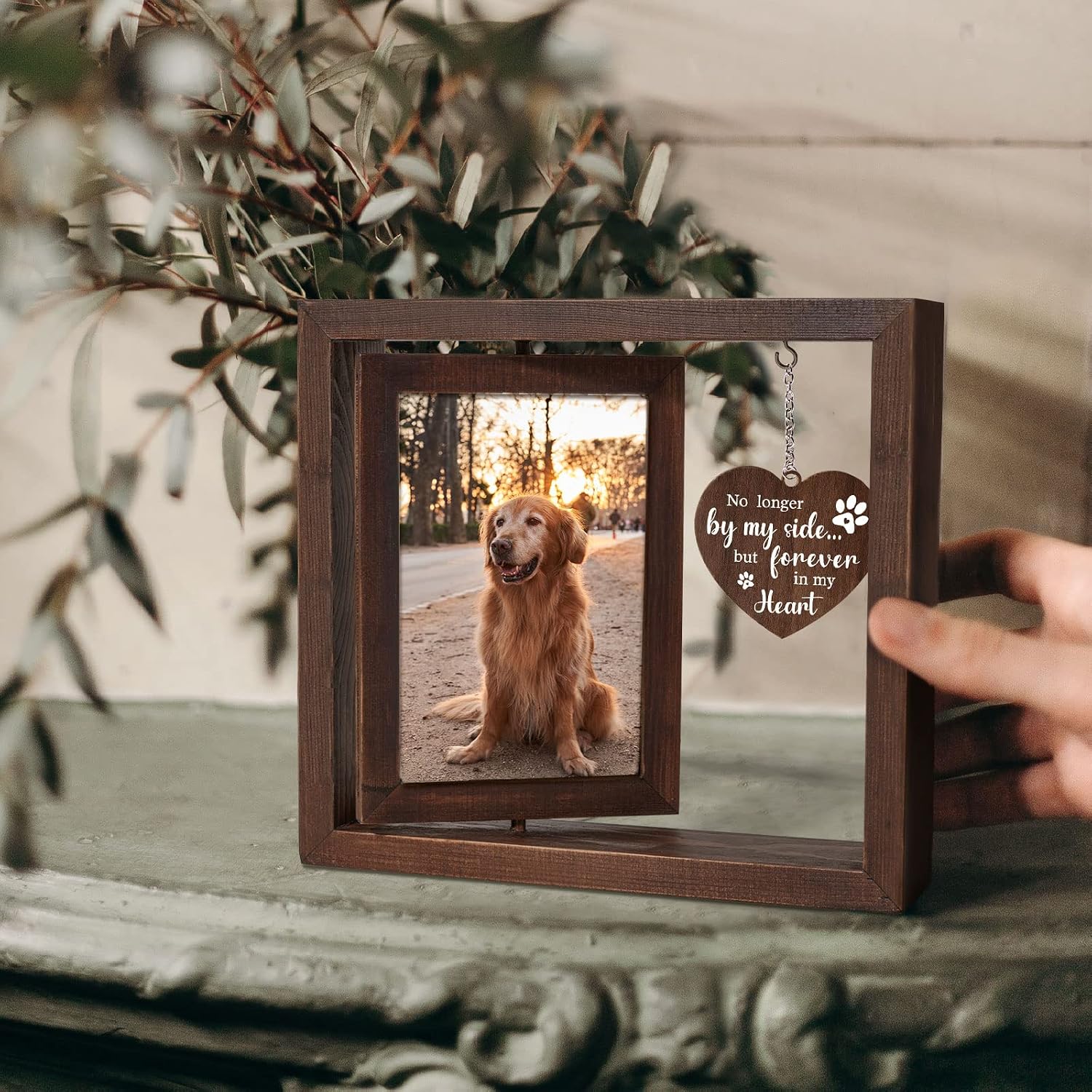 Houten fotolijst voor huisdier - Engraved Wood Frame recensie en prijs