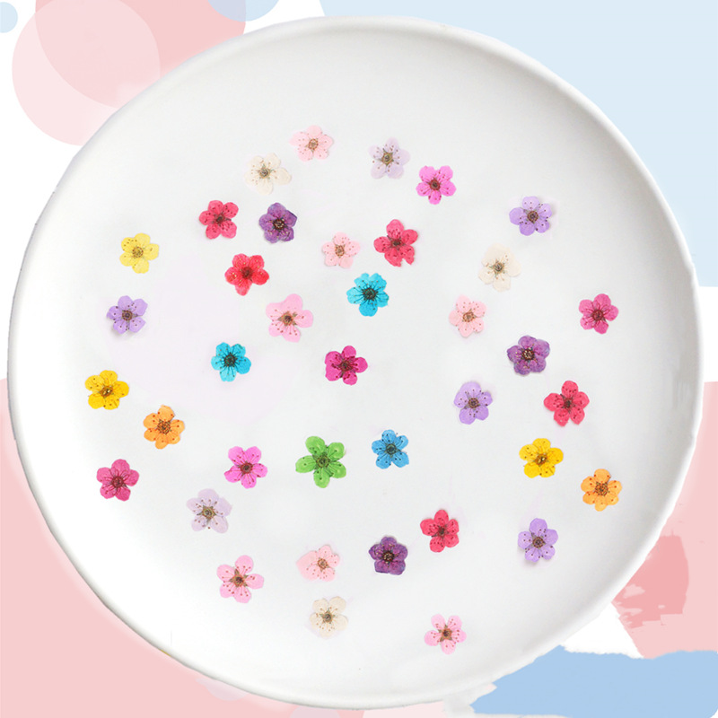 60 stuks mini geperst gedroogd - Dried Flower Bookmark recensie en prijs