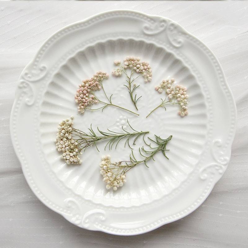 12 stuks, natuurlijke gierstbl - Dried Flower Bookmark recensie en prijs