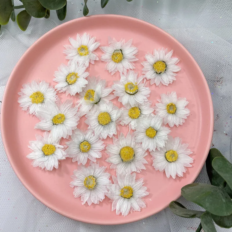 24Pcs/2-4Cm, Natuurlijke Geper - Dried Flower Bookmark recensie en prijs