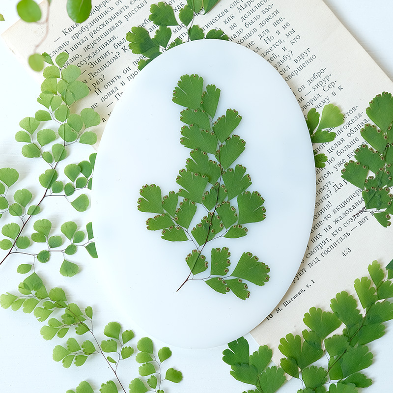 60 stuks natuurlijke planten e - Dried Flower Bookmark recensie en prijs