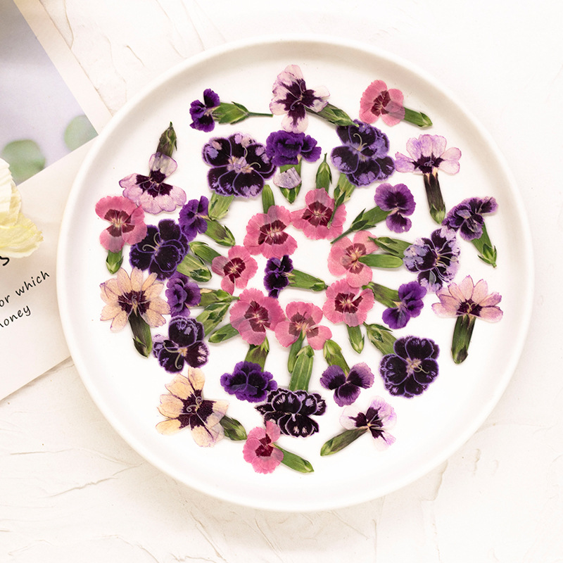 24 stuks, geperste gedroogde d - Dried Flower Bookmark recensie en prijs
