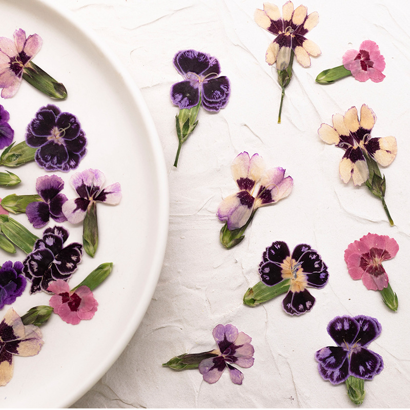 24 stuks, geperste gedroogde d - Dried Flower Bookmark recensie en prijs