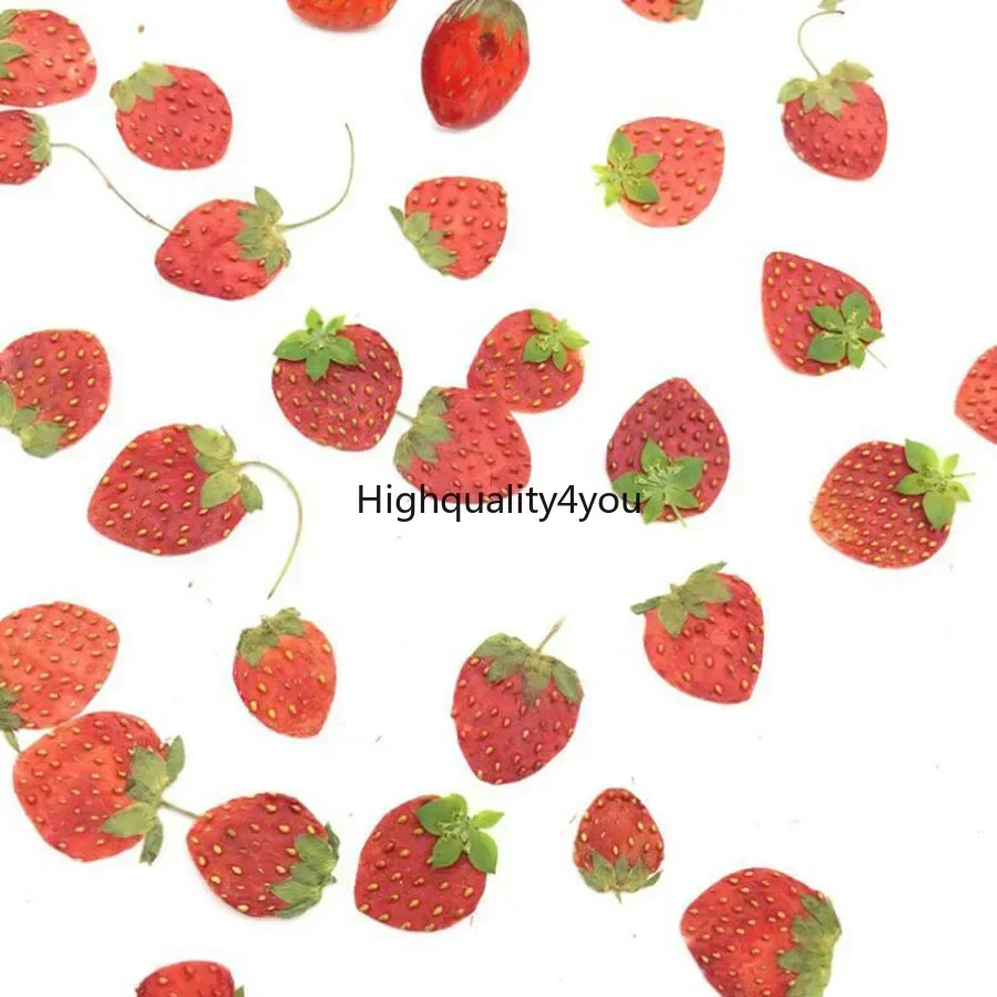 10 stks Gedroogde Geperst Mini - Dried Flower Bookmark recensie en prijs